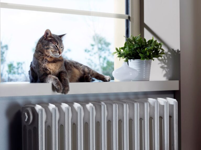 pets and HVAC maintenance